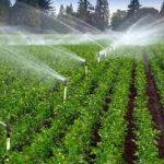 آب و آبیاری در کشاورزی