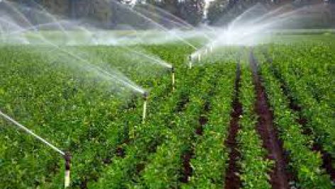 تحقیق در مورد آب و آبیاری در کشاورزی