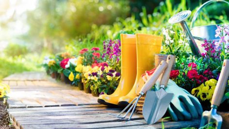 تحقیق در مورد باغبانی