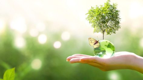 محیط زیست از منظر قرآن