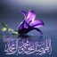 اخلاق از دیدگاه قرآن، پیامبر و عترت