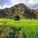 اكولوژي، جامعه و كشاورزي