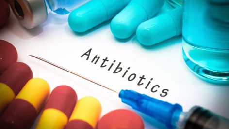 تحقیق در مورد مصرف آنتی بیوتیک ها در تغذیه دام