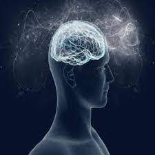 تاریخ تحولات نحوی در مورد ضمیر