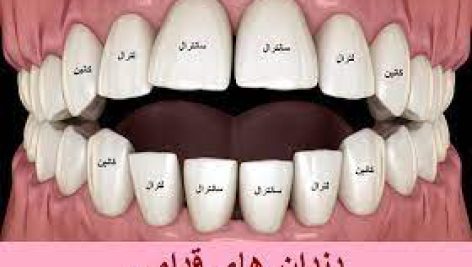 آناتومي دندان