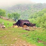 گذشته عشایر ایران