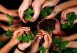 تعیین وزن مخصوص ذرات جامد خاک