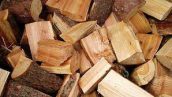 تاريخچه مصرف چوب