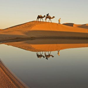 بيابان