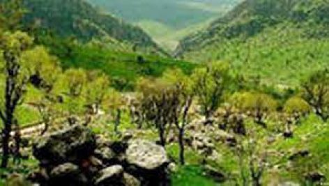 مناطق ويژه اكولوژيک