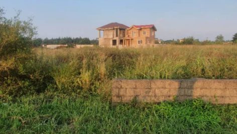 شناسایی زمین های نمک دار