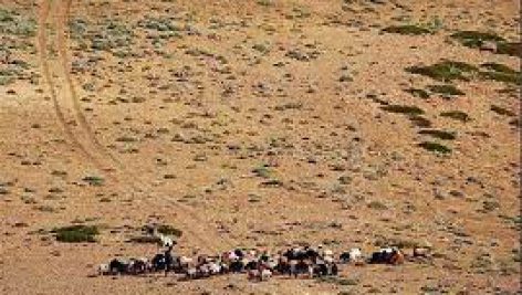 نگرشي‌ بر مراتع‌ مناطق‌ خشك‌ ايران‌