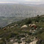 شهرستان شیروان