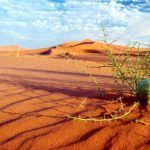 افزایش سطح کویرها و کاهش کیفیت آب و خاک