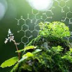 اصول شیمیایی حیات