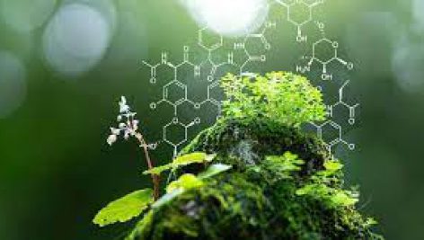 اصول شیمیایی حیات