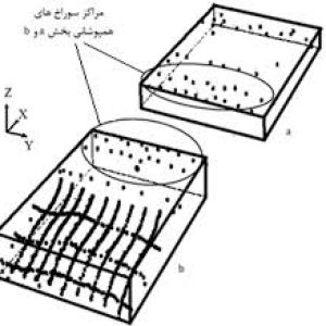 روش نلدر مید