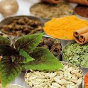 اهمیت گیاهان دارویی در جهان