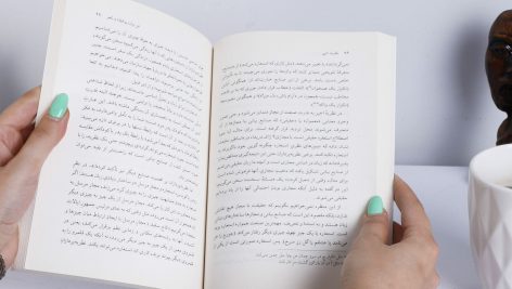 همگونی در ادبیات