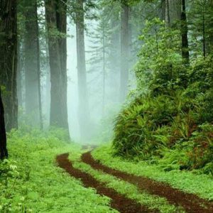 مونوگرافی قلعه بیگ