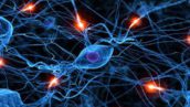 شبکه های عصبی مصنوعی و کاربردهای آن