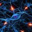 شبکه های عصبی مصنوعی و کاربردهای آن