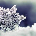 کاربردهای فراکتال