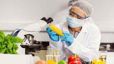 وضعیت اکسیژن مصرفی و ضربان قلب در شرایط بحرانی انکوباسیون