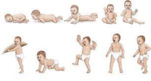 مراحل تکامل کودک