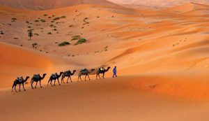 ویژگی های مناطق خشک