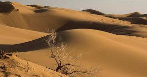 افزایش سطح کویرها و کاهش کیفیت آب و خاک
