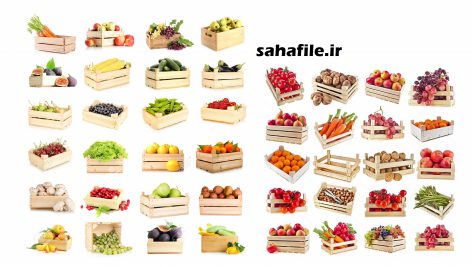 میوه جات و سبزیجات