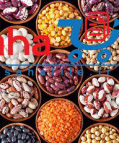 طرح توجیهی تولید جوانه های خوراکی (جوانه حبوبات)