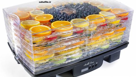 خشک کن میوه و سبزیجات fruit dryer