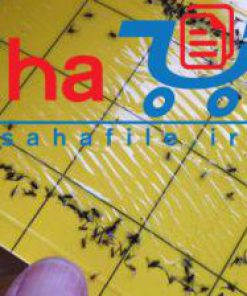 طرح توجیهی تولید کارت های زرد جاذب حشرات