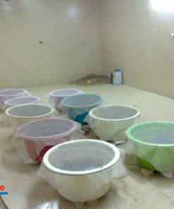 طرح توجیهی پرورش زالو طبی در خانه