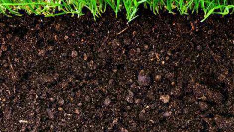 تحقیق در مورد خاک شناسی