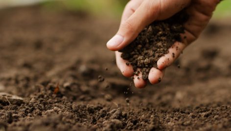 تحقیق در مورد ضایعات خاک