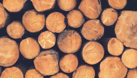 تحقیق در مورد چوب