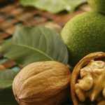 اکولوژی گردو